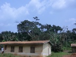 49219CIMG5556.JPG