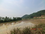 53870CIMG2524.JPG