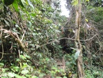 50194DSC01993.JPG
