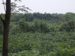1133R0015324_small.jpg