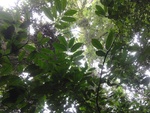 46864DSC02211.JPG