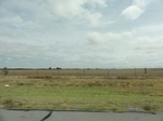 35931DSC02699.JPG