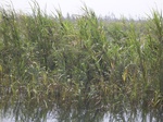 653R0015161.jpg