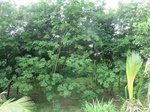 34822CIMG1474.JPG