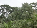 47882CIMG4219.JPG