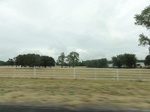 35760DSC02519.JPG