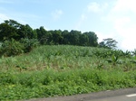 25877P1020296.JPG