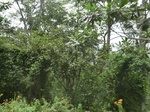 49606CIMG5943.JPG