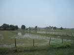 34510IMG_5493.JPG