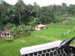 13742IMG_4003.JPG