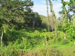 31946IMG_5653.JPG