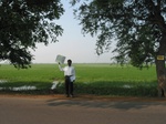 9886gt136a_ricecrop_krishnadelta.gif