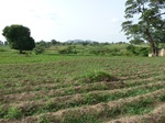 18891P1000733.JPG