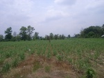 28243RIMG0243.JPG