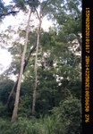 40507Anh4997.JPG