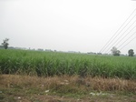 28338IMG_5197.JPG