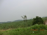 33017CIMG2177.JPG