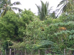 17615100_2556.JPG