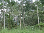 49398CIMG5735.JPG