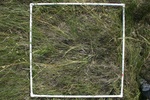 25992100S-1-IMG_1571.JPG