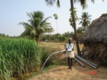 13004027c-irrigated-groundwater-mixedcrop-rice-sugarcane-plantation-coconut-banana-doublecrop.gif