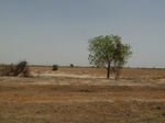 19060P1000905.JPG