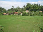 13761IMG_4022.JPG