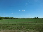 29062CIMG0761.JPG