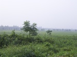 483R0015029.jpg