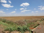 29957CIMG0482.JPG