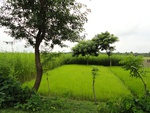 22012DSC00125.JPG