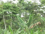 48954CIMG5291.JPG