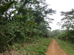 48133CIMG4470.JPG