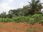 48980CIMG5317.JPG