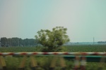 2024-08-05_13-59-39_60C8879F-CCF5-4611-83B6-EE32B0135B20.jpeg