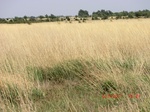 29682CIMG0973.JPG