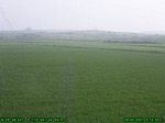 1176R0015037_tag.jpg