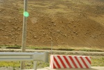 27501DSC_7737.JPG