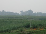32658CIMG1777.JPG