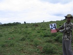 1177624-cropland-chena-1yr-fallow-very-large-fieldc.jpg