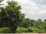 21343DSC00611.JPG