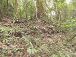 46720DSC02055.JPG
