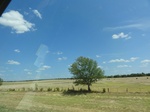 35118DSC02323.JPG
