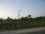 8887nigeria 098.jpg