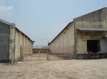21847DSC08433.JPG