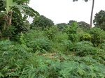 45792CIMG2877.JPG