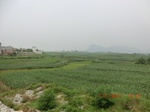 32651CIMG1770.JPG