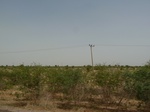 19059P1000904.JPG