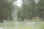 2024-08-05_16-08-56_569673B2-9A5E-4FE0-A6EF-8BD3D88E7E15.jpeg