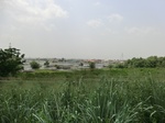 50850CIMG0550.JPG